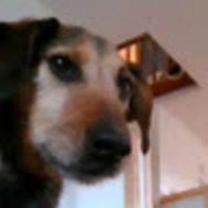 Meet your Posher, Aubrey